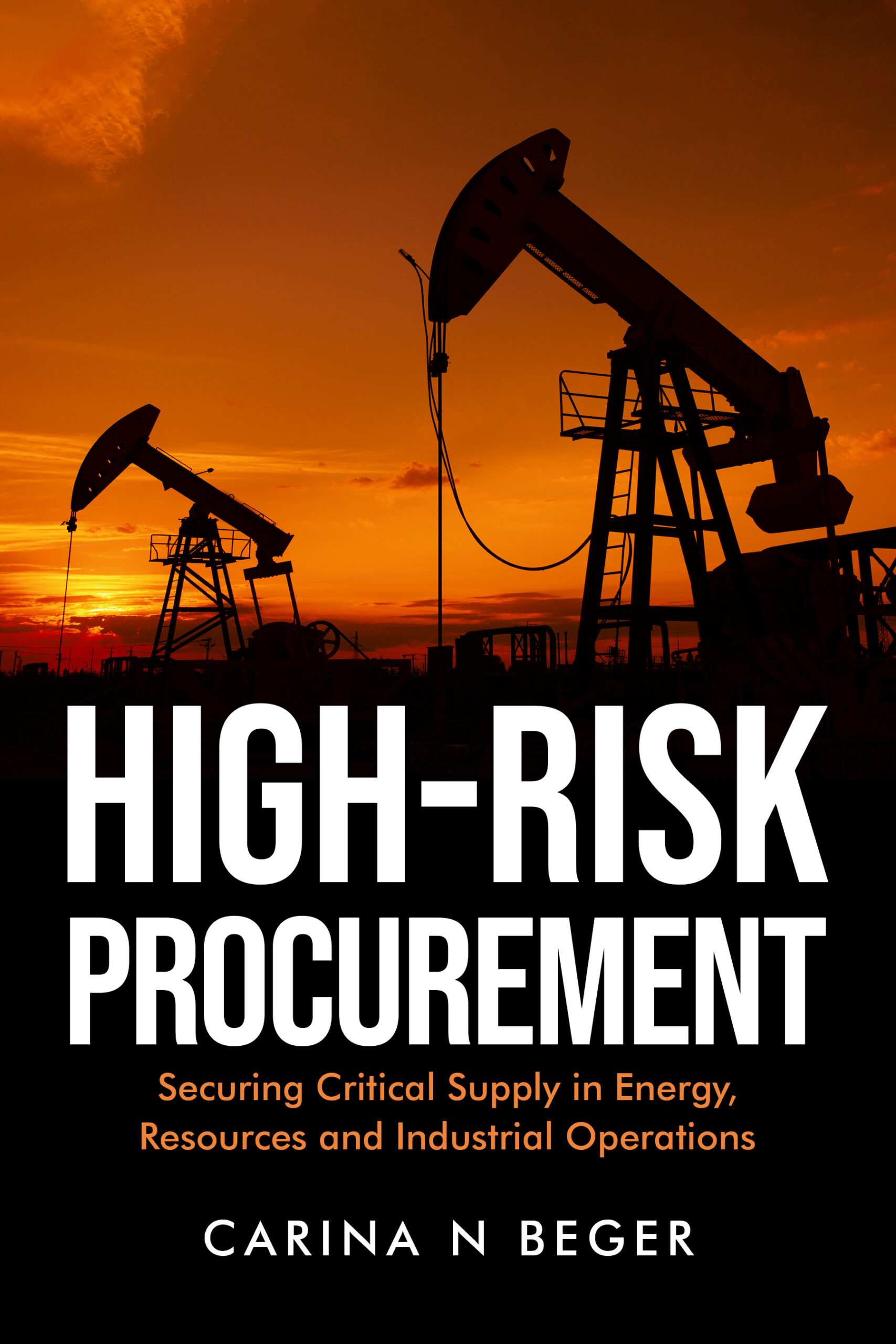 High-Risk Procurement book cover